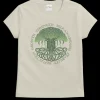 Banyan Tree - Coconut Dyed Short Sleeve Crewneck T-Shirt