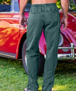 Pine Dyed Twill Pants